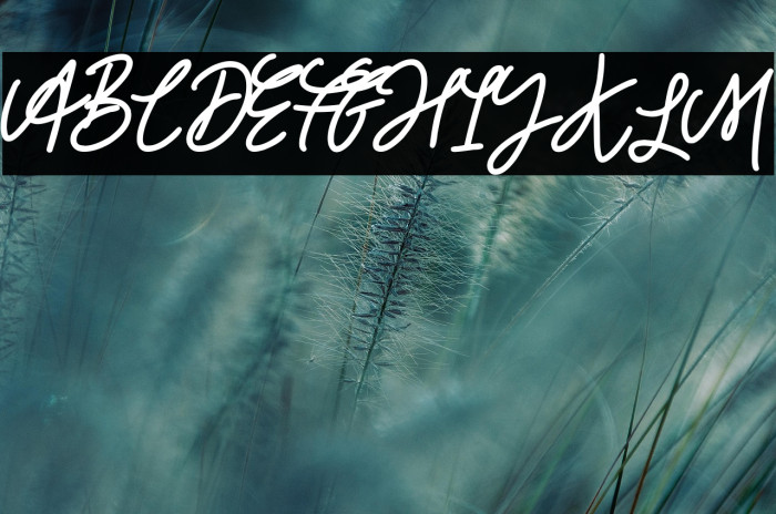 House Party Example 3