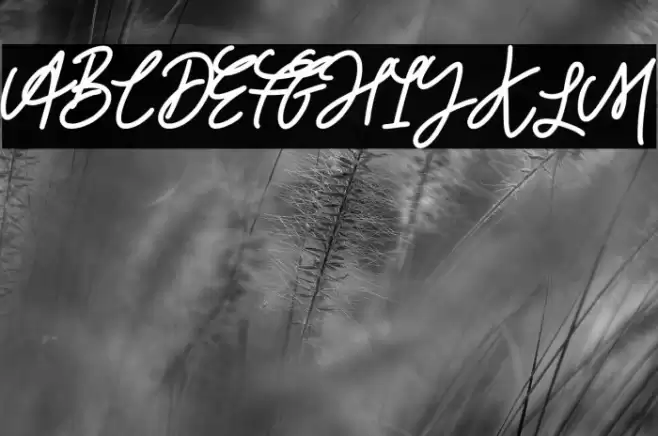 House Party Caratteri examples