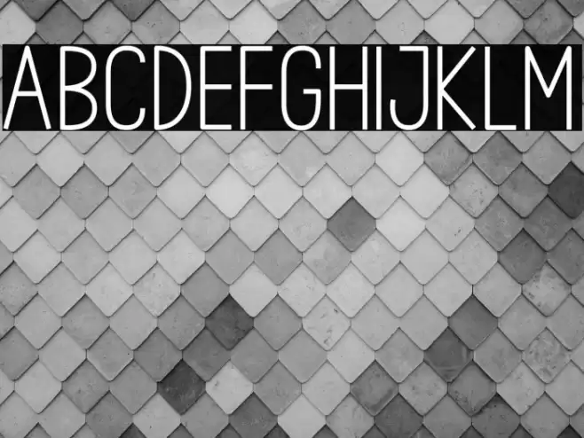 House Signature Sans Font examples