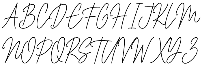 House Signature Script Font OTHER CHARS