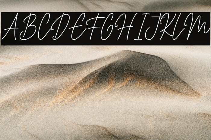 House Signature Script Example 2