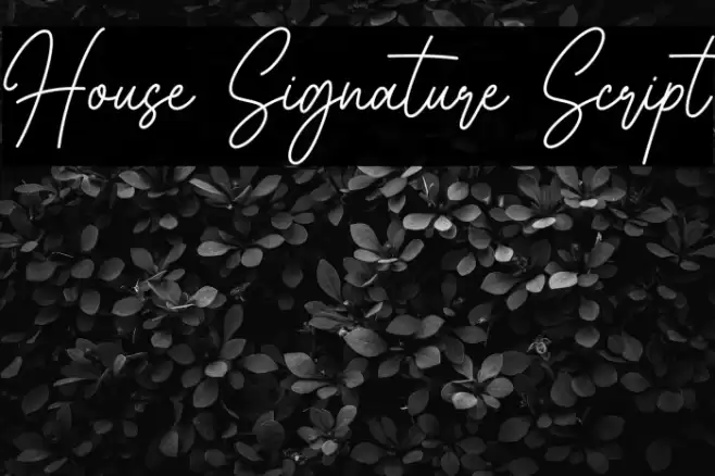 House Signature Script Font examples