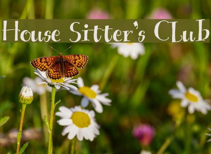 House Sitter's Club Font examples