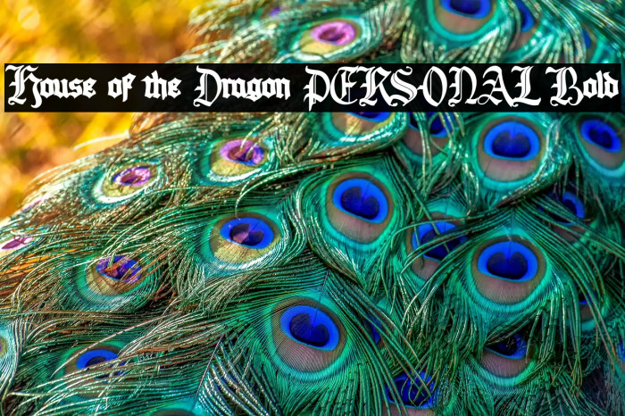 House of the Dragon PERSONAL Bold Example 1