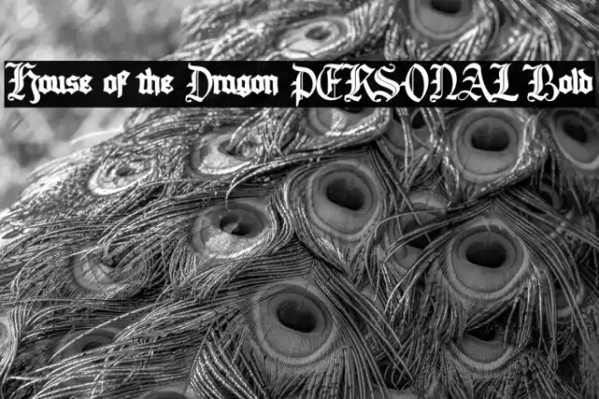 House of the Dragon PERSONAL Bold Font examples