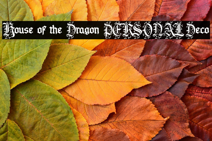 House of the Dragon PERSONAL Deco Example 3