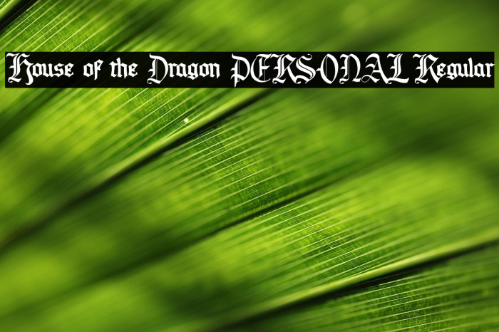 House of the Dragon PERSONAL Regular Example 2