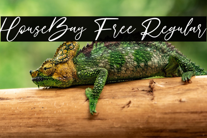 HouseBay Free Regular Example 1