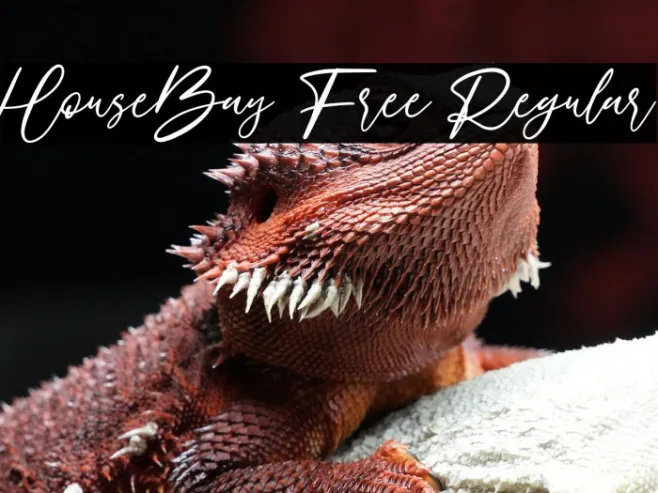 HouseBay Free Regular Example 2