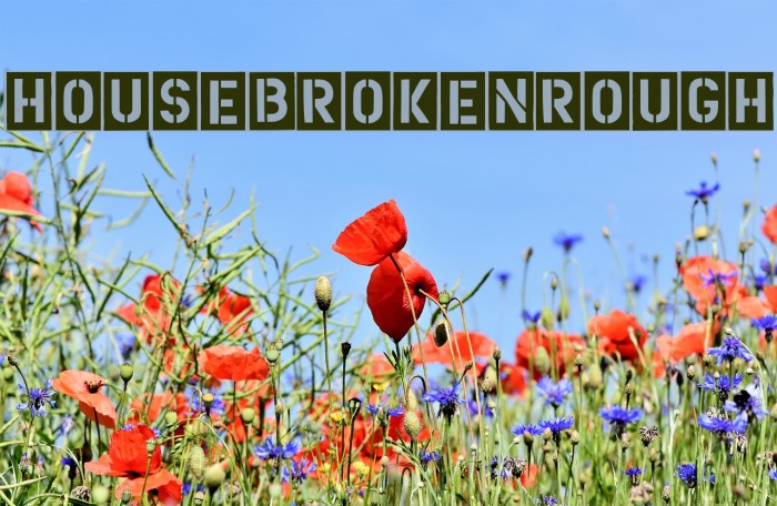 HouseBrokenRough Font examples