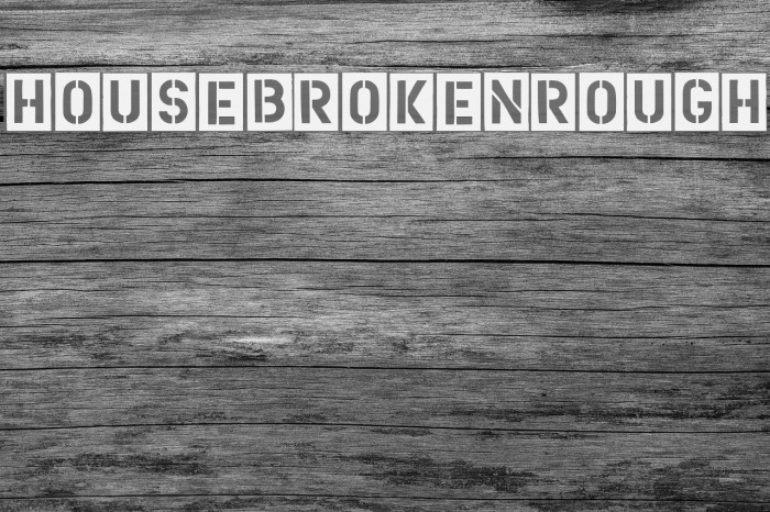 HouseBrokenRough Font examples