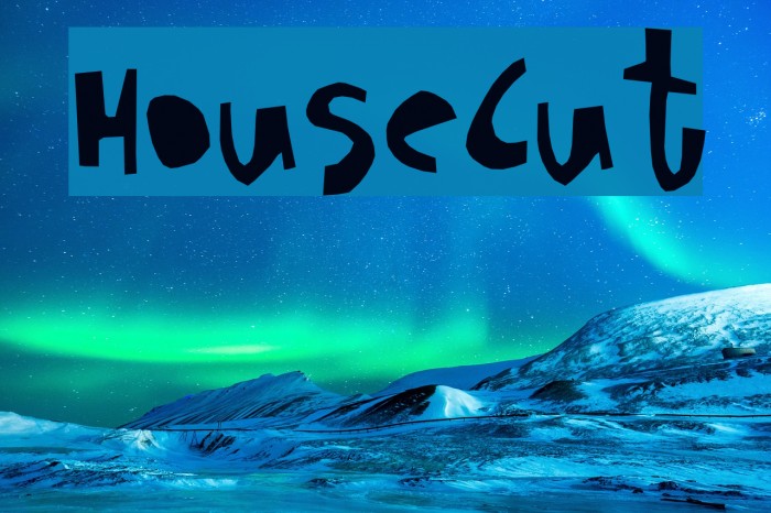 HouseCut Example 1