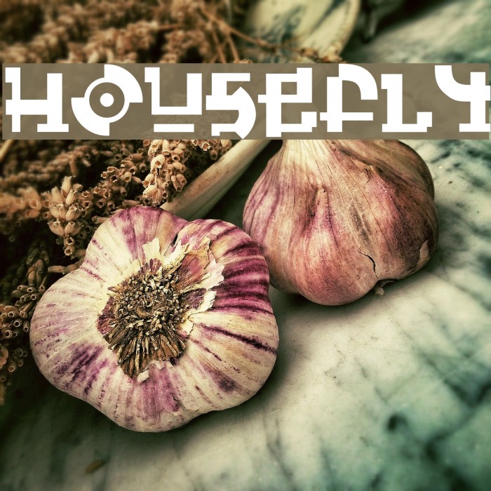 HouseFly Font examples