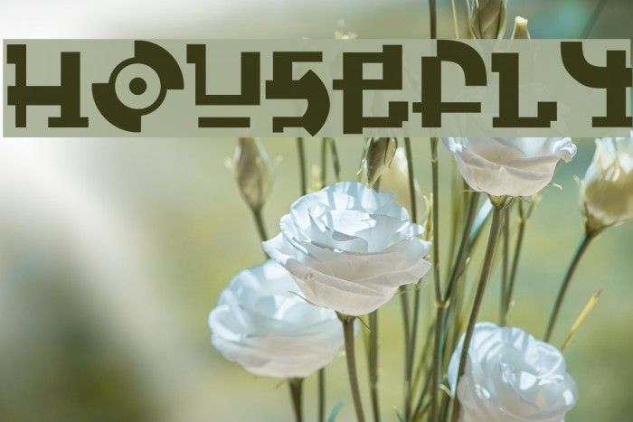 HouseFly Font examples