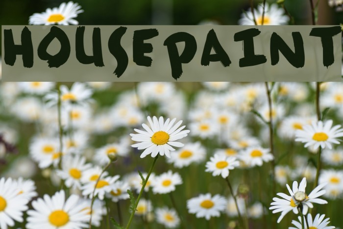 HousePaint Font examples