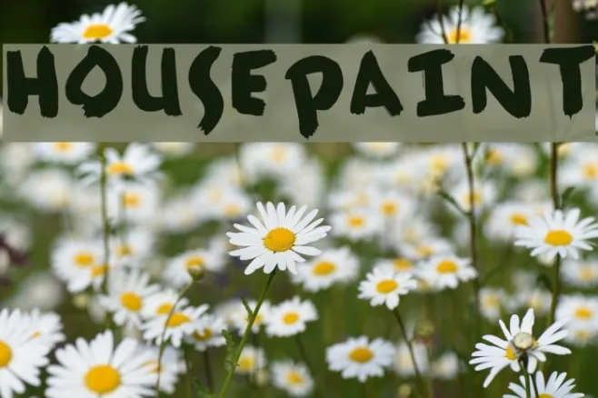 HousePaint Example 2