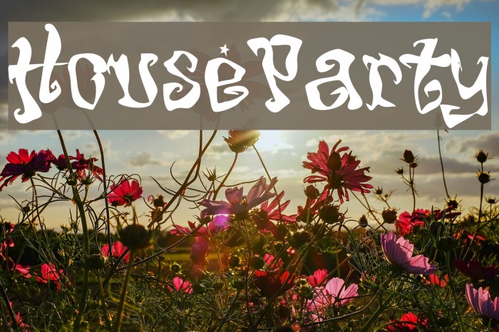 HouseParty Font examples