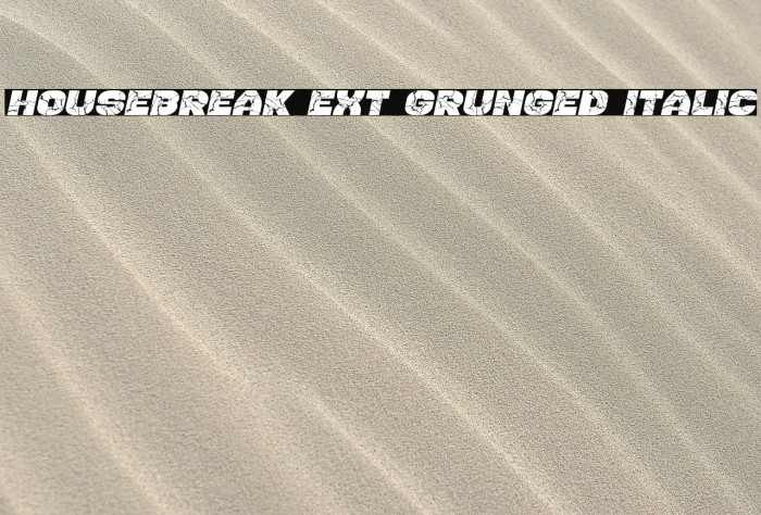Housebreak Ext Grunged Italic Font examples
