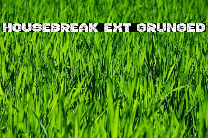 Housebreak Ext Grunged Font examples