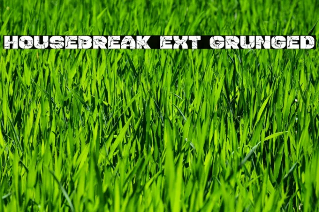Housebreak Ext Grunged Example 1