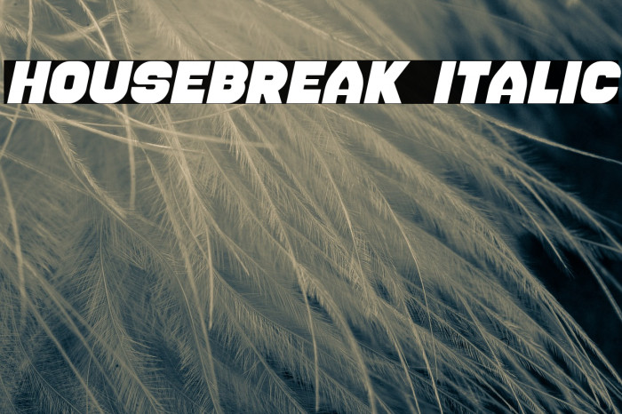 Housebreak Italic Font examples