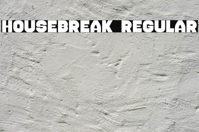 Housebreak Regular Font examples