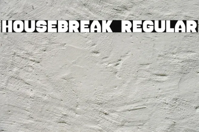 Housebreak Regular Example 1