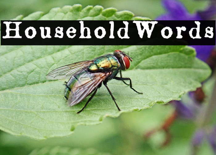 HouseholdWords Example 2