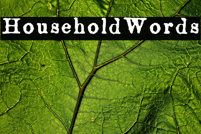 HouseholdWords Example 3