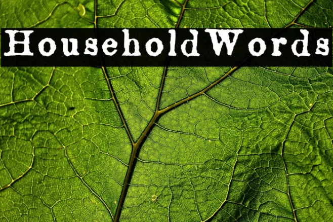 HouseholdWords Example 3