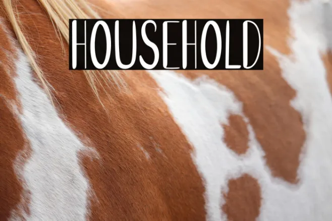 Household Example 2