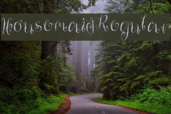 HousemaidRegular Font examples
