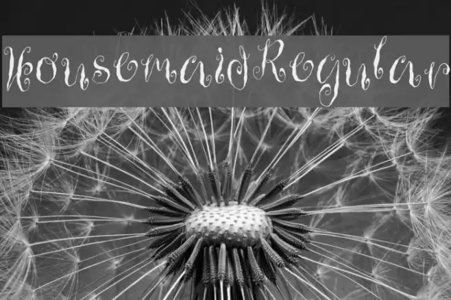 HousemaidRegular Font examples