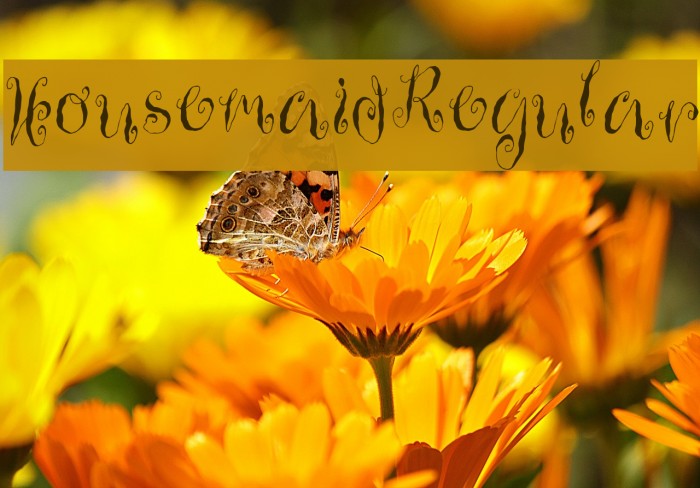 HousemaidRegular Font examples