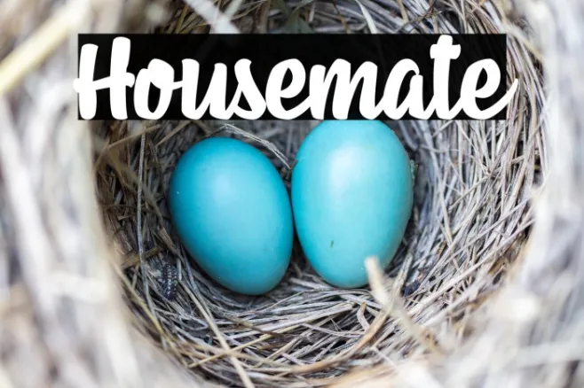 Housemate Example 2