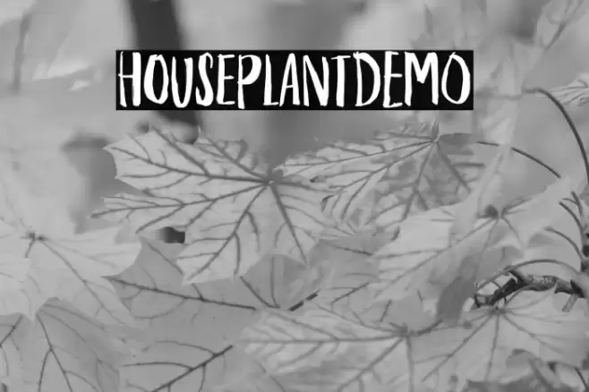 HouseplantDEMO Font examples