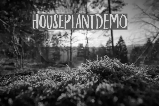 HouseplantDEMO Font examples