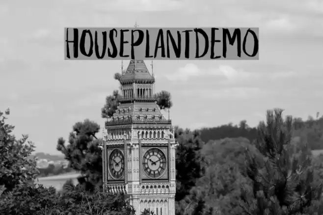 HouseplantDEMO Font examples