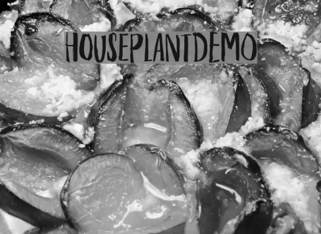 HouseplantDEMO Font examples
