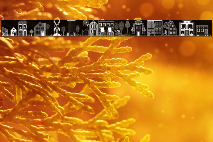 Houses Four Regular Example 2