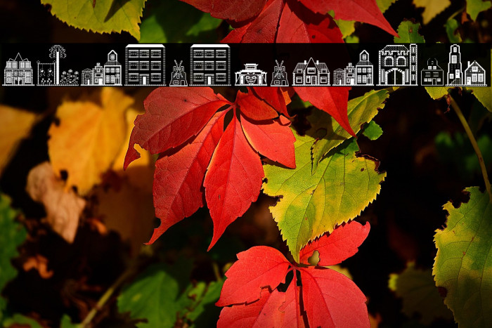 Houses Regular Example 1