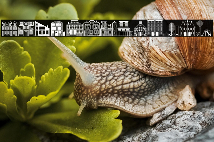 Houses Two Regular Example 2