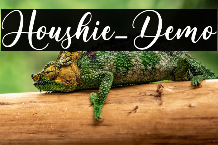 Houshie_Demo Example 1