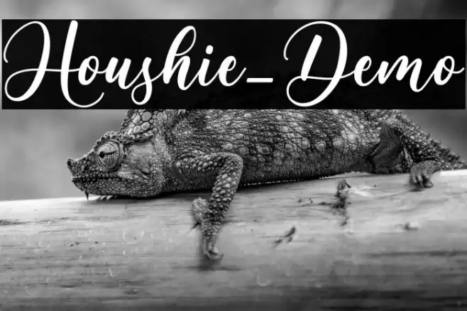 Houshie_Demo Font examples