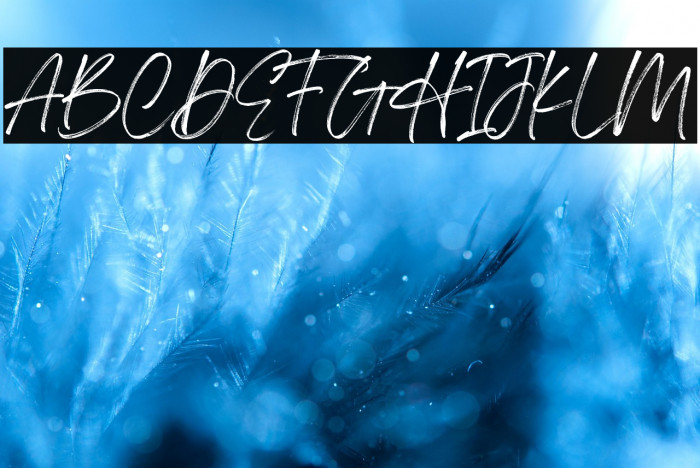 Housky Demo Example 3