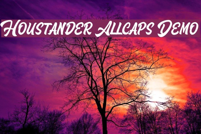 Houstander Allcaps Demo Font examples