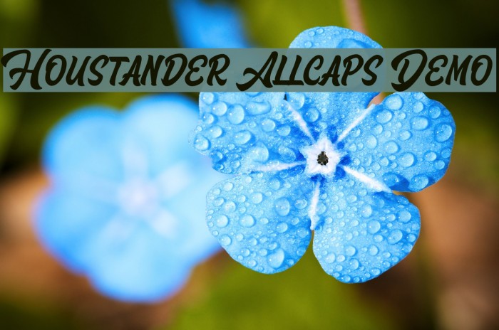 Houstander Allcaps Demo Font examples