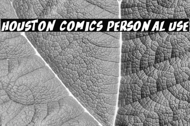 Houston Comics Personal Use Шрифта examples