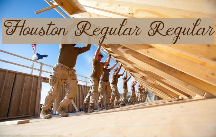 Houston Regular Regular Font examples