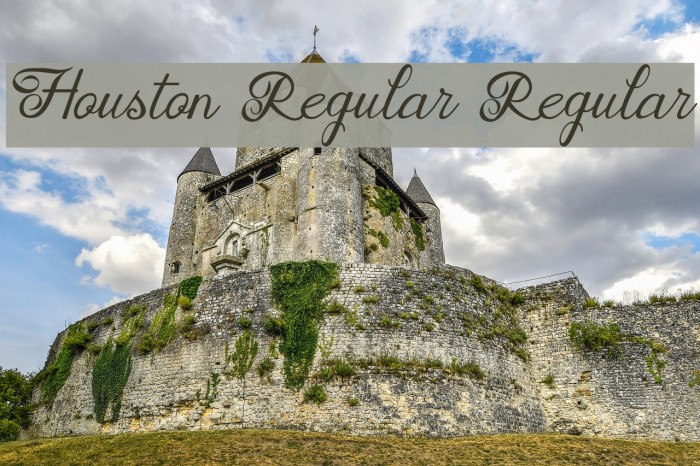 Houston Regular Regular Font examples